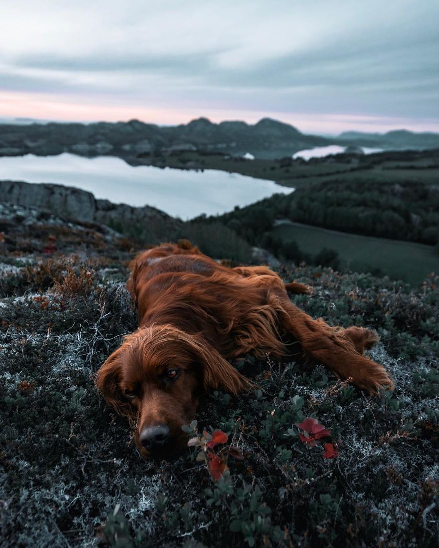 The-Secret-Life-Of-Troja-Photography-George