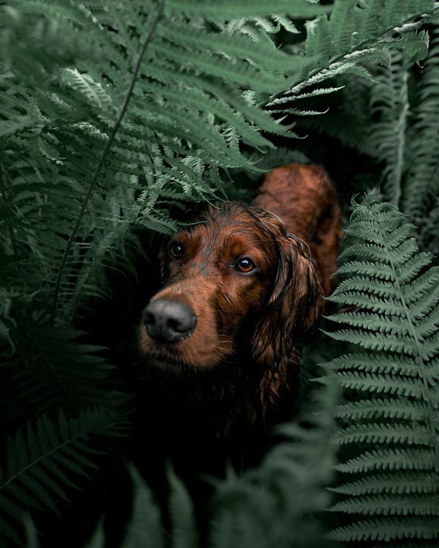 The-Secret-Life-Of-Troja-Photography-George