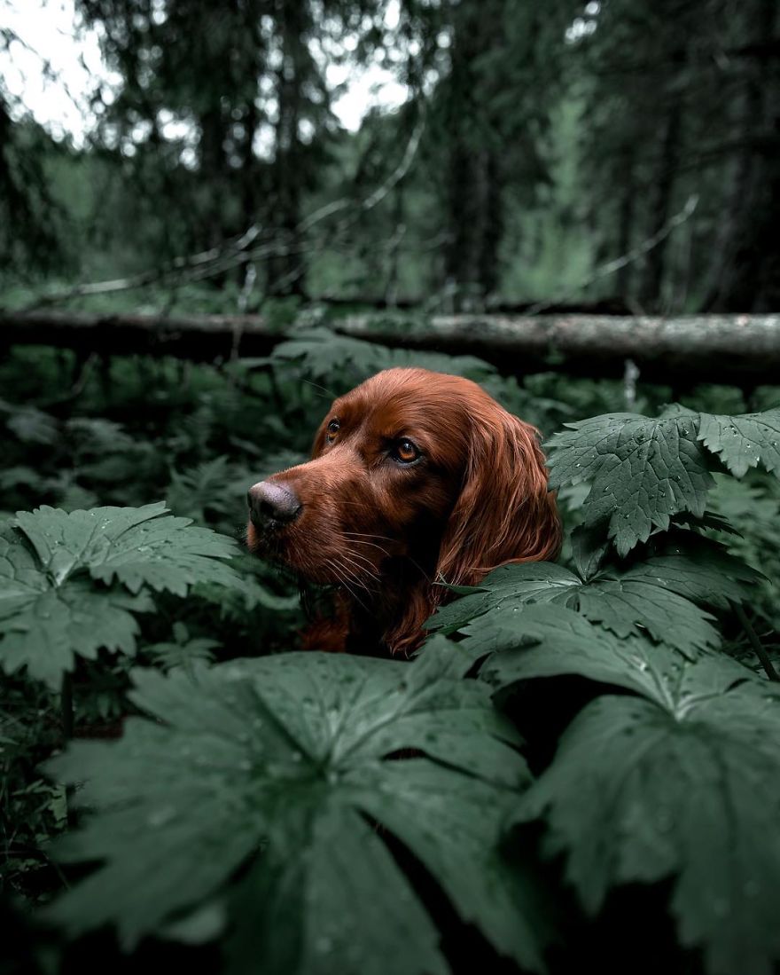 The-Secret-Life-Of-Troja-Photography-George
