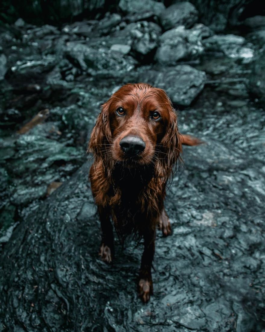 The-Secret-Life-Of-Troja-Photography-George