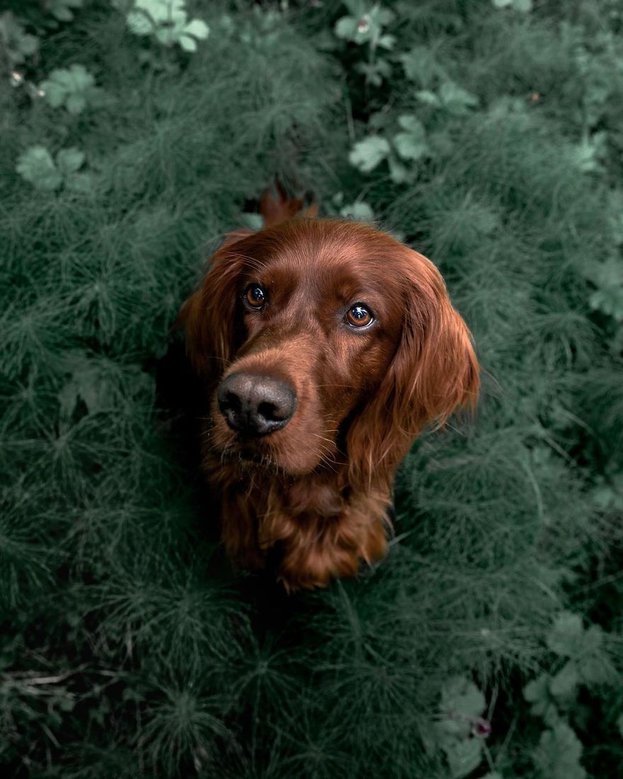 The-Secret-Life-Of-Troja-Photography-George