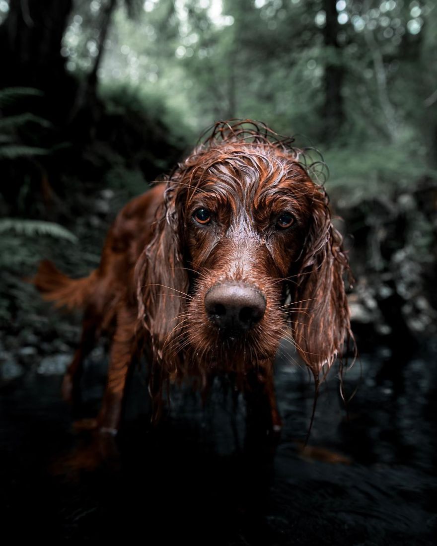 The-Secret-Life-Of-Troja-Photography-George