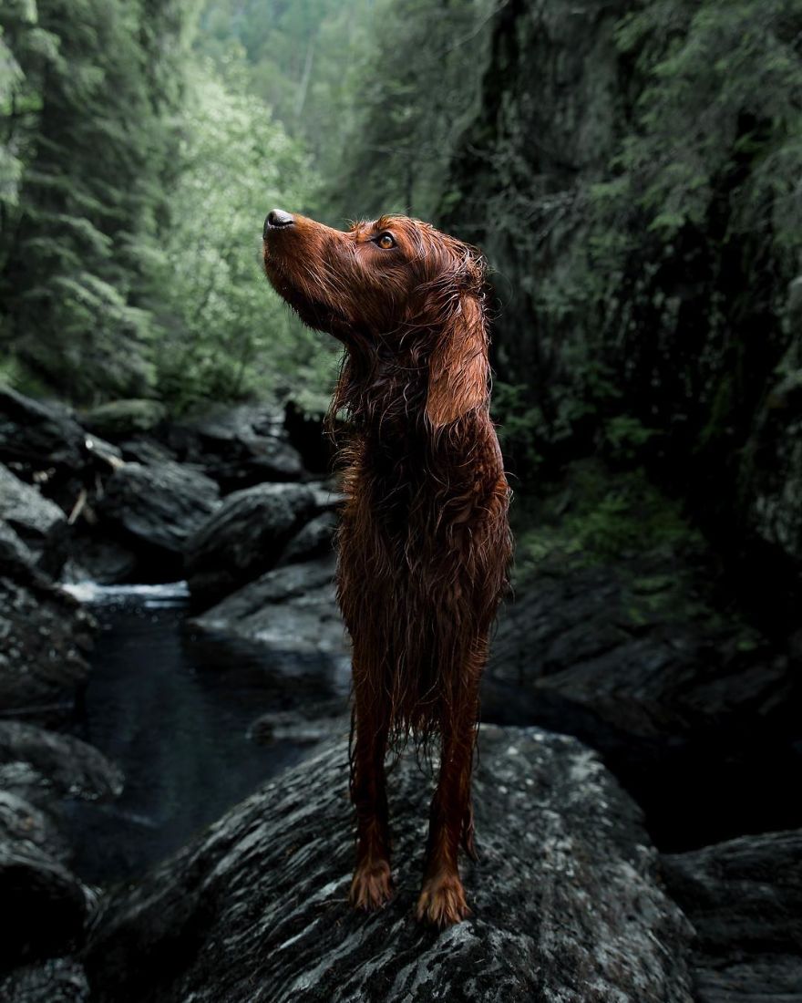 The-Secret-Life-Of-Troja-Photography-George