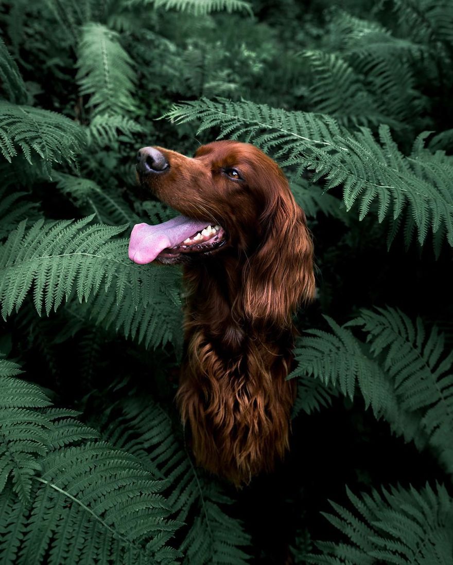 The-Secret-Life-Of-Troja-Photography-George