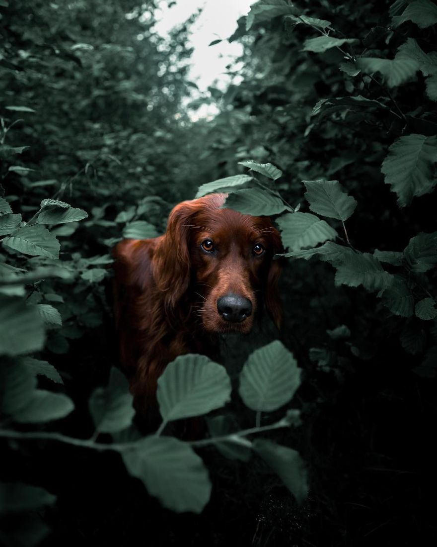 The-Secret-Life-Of-Troja-Photography-George