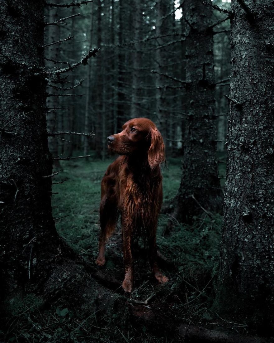 The-Secret-Life-Of-Troja-Photography-George