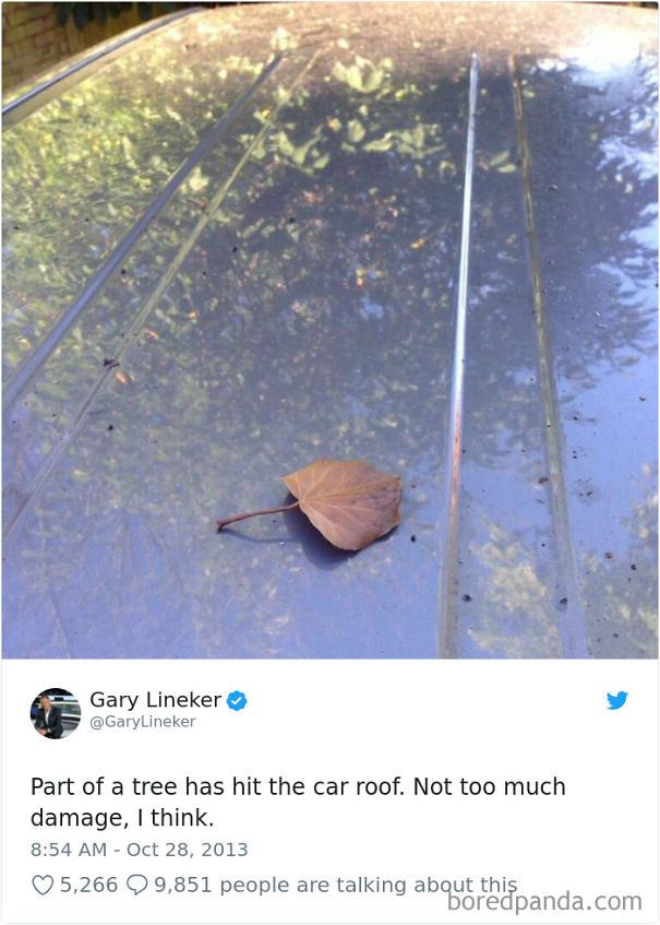 A single leaf on a car roof humorously described as tree damage by a funny dad.