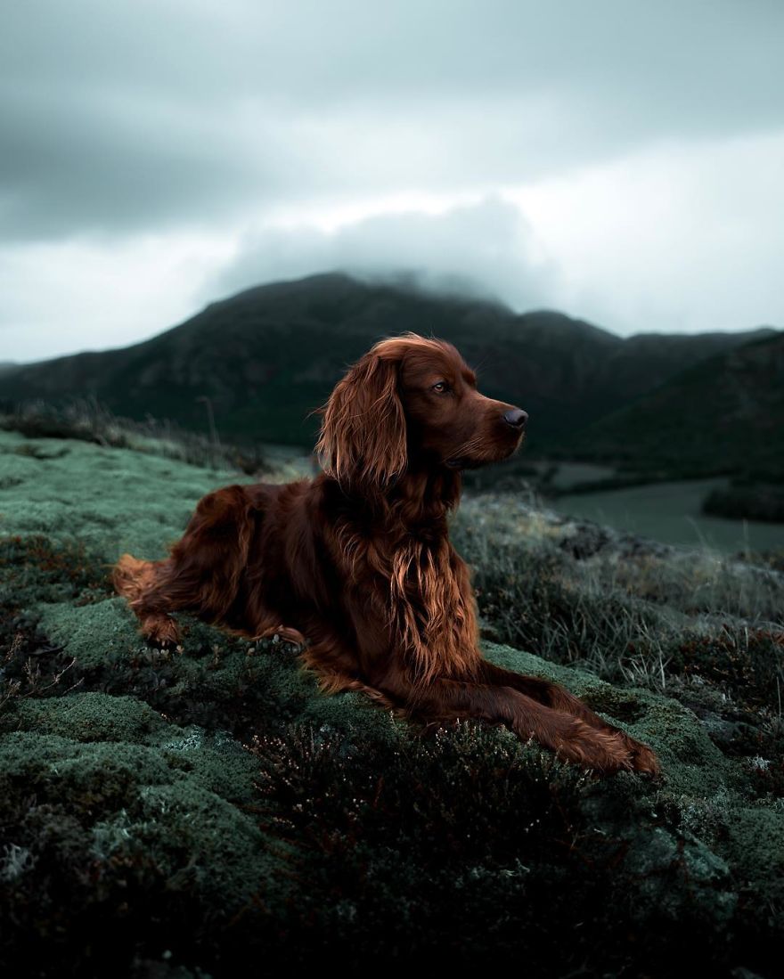 The-Secret-Life-Of-Troja-Photography-George