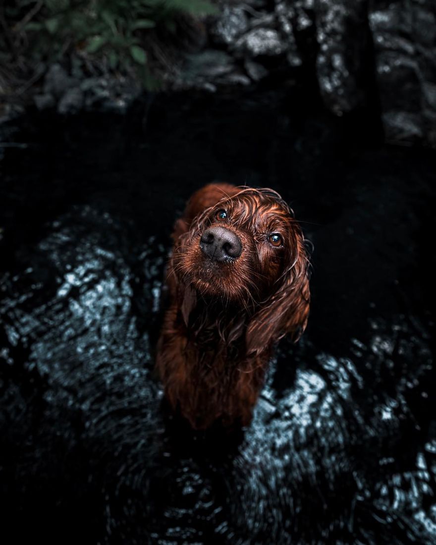 The-Secret-Life-Of-Troja-Photography-George