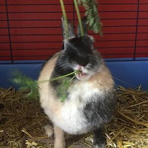 ry_an_5076798 avatar