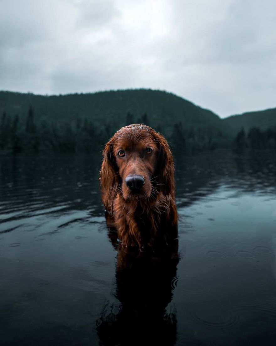 The-Secret-Life-Of-Troja-Photography-George