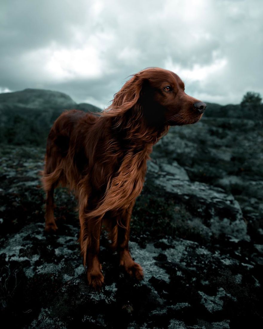 The-Secret-Life-Of-Troja-Photography-George