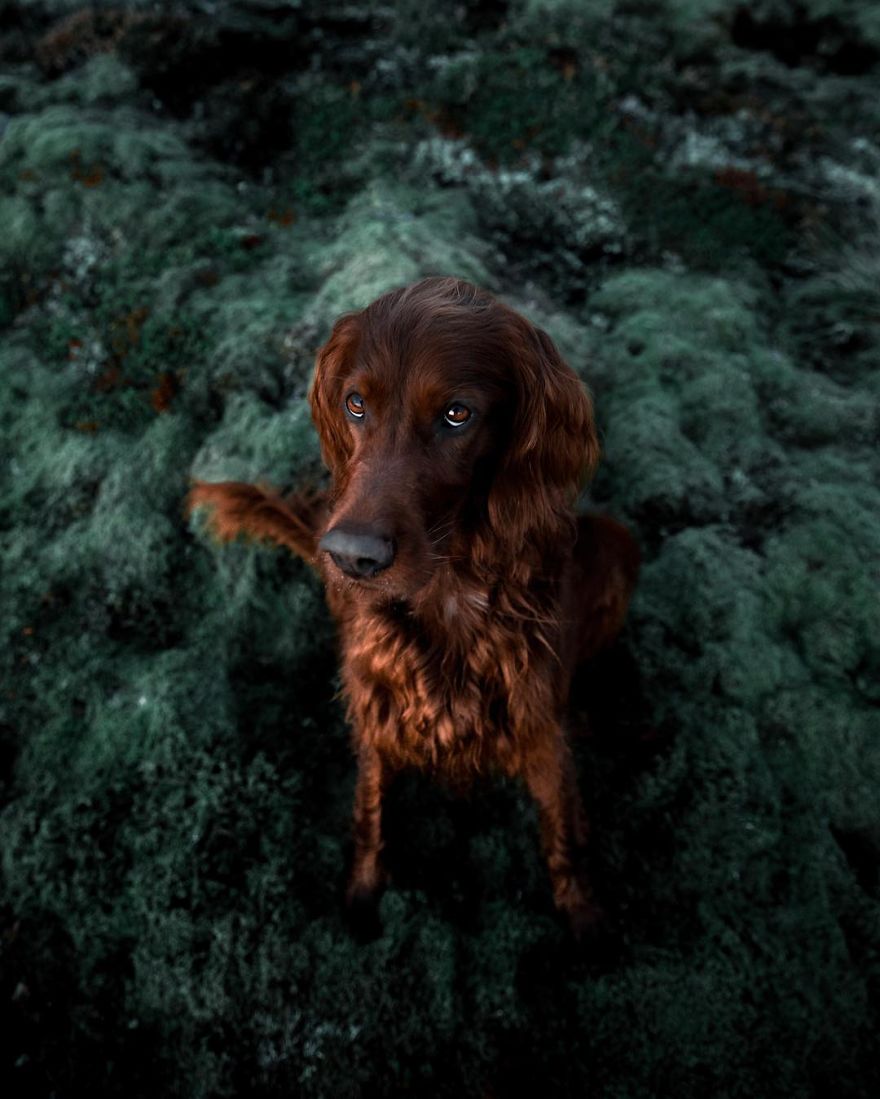 The-Secret-Life-Of-Troja-Photography-George