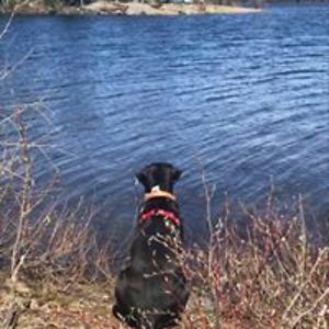 rachelgoodman2013 avatar