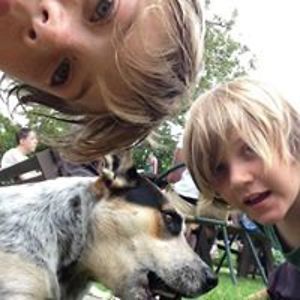 dannyshilling avatar