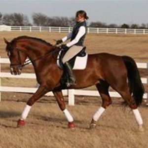 cathy_garrigus avatar