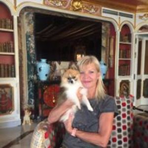 yolymaesfranck avatar