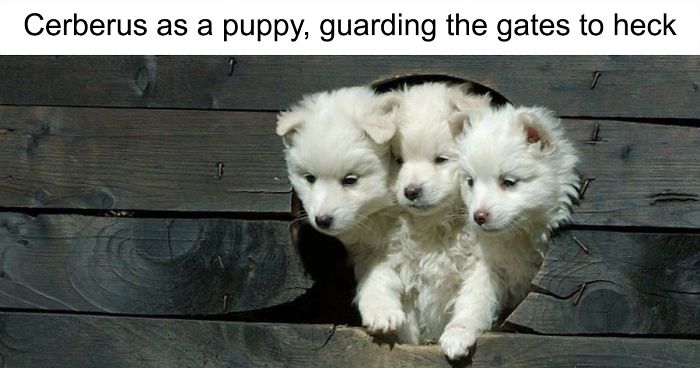 21 Clever Jokes That Only People Who Know Greek Mythology Will Laugh At