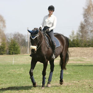 miglkranceviit avatar