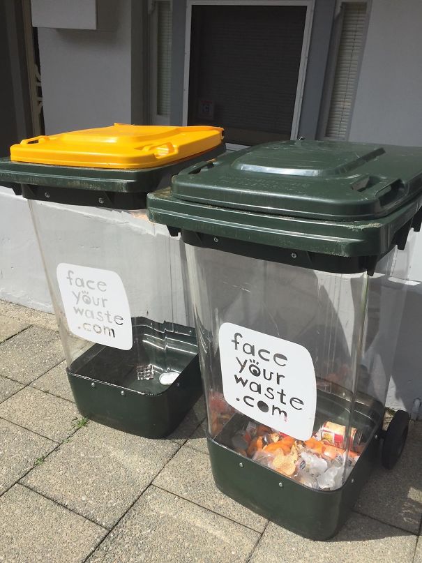 These See-Through Bins