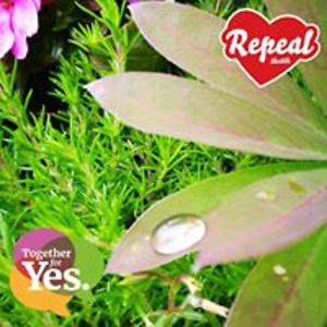 bridgetsmith_1 avatar