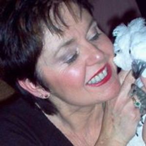 catherinestevens avatar