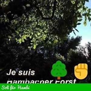 susanne_lohse avatar