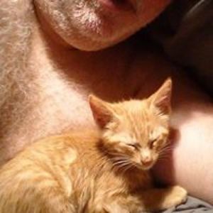 wirepaladinii avatar