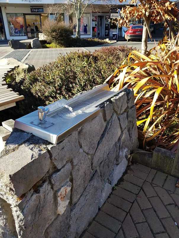 This Drinking Fountain Acts As A Plant Watering System For What People Don't Drink Rather Than It Going Back Into The Sewer System