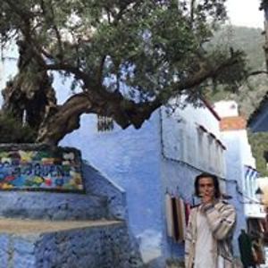 miguelpmgcarvalho avatar