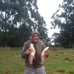 maicon_madruga avatar