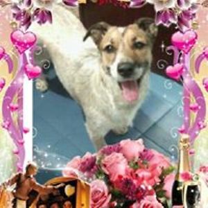 alexymamen2011 avatar