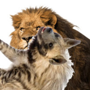 dinoboy12rodriguez avatar