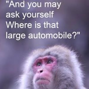 hashbangampersand avatar