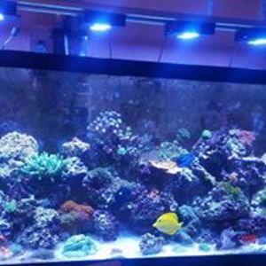 bobby_green534 avatar