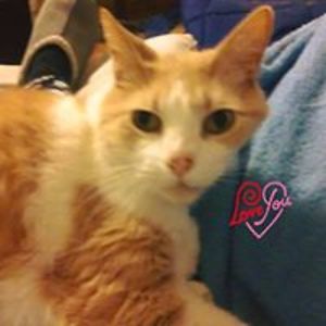 christinemb33 avatar