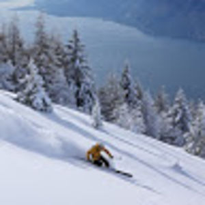 xzavierbristol avatar