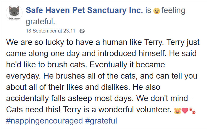 The Internet Can&rsquo;t Get Enough Of This Man Who Volunteers And Naps With Cats At A Shelter Every Day