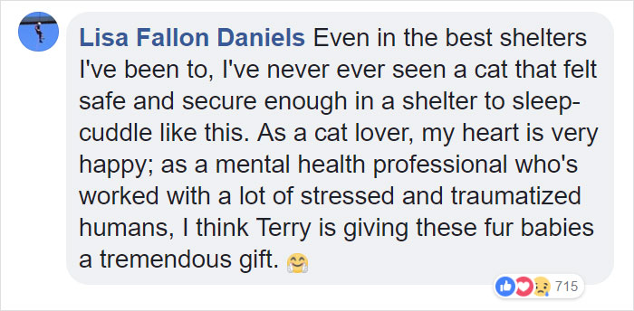 The Internet Can&rsquo;t Get Enough Of This Man Who Volunteers And Naps With Cats At A Shelter Every Day