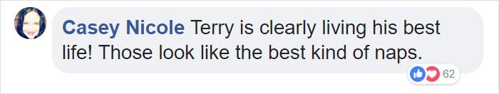 The Internet Can&rsquo;t Get Enough Of This Man Who Volunteers And Naps With Cats At A Shelter Every Day