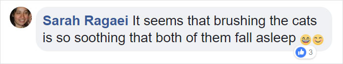 The Internet Can&rsquo;t Get Enough Of This Man Who Volunteers And Naps With Cats At A Shelter Every Day