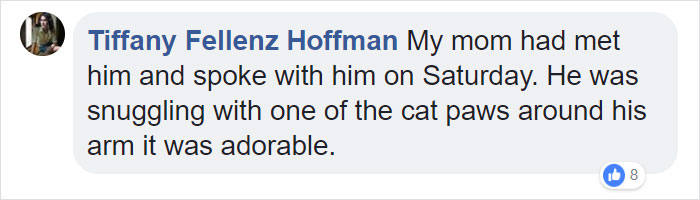 The Internet Can&rsquo;t Get Enough Of This Man Who Volunteers And Naps With Cats At A Shelter Every Day