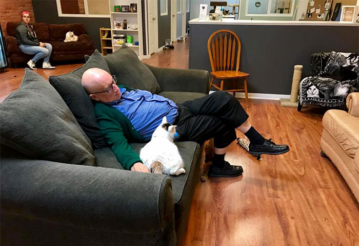 The Internet Can&rsquo;t Get Enough Of This Man Who Volunteers And Naps With Cats At A Shelter Every Day