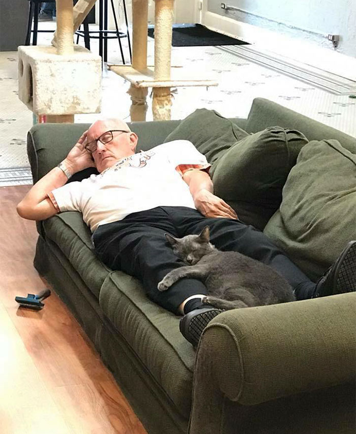 The Internet Can&rsquo;t Get Enough Of This Man Who Volunteers And Naps With Cats At A Shelter Every Day