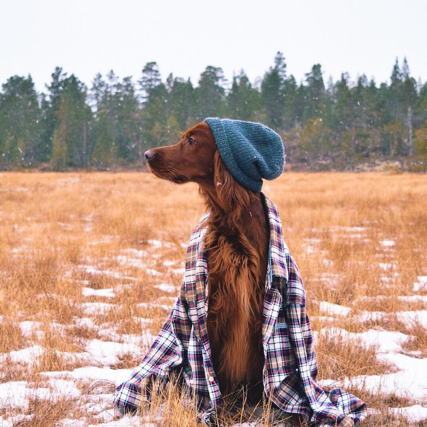 The-Secret-Life-Of-Troja-Photography-George