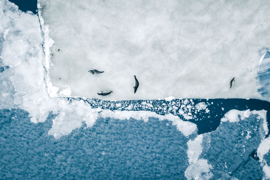 Another Photographer-Traveler? Hold My Beer