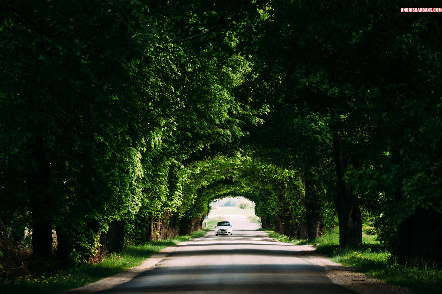 Scenic Road Somewhere In Kurzeme