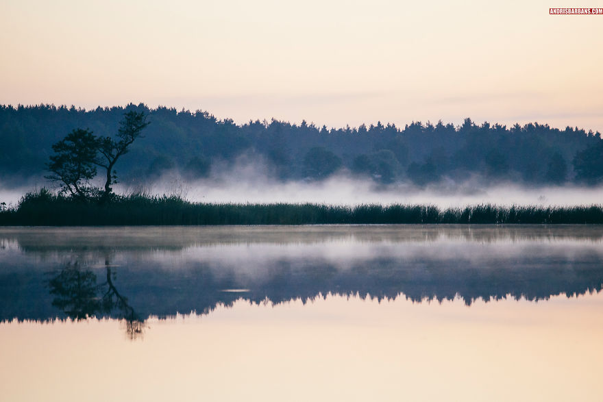 Forest Lake In Sloka
