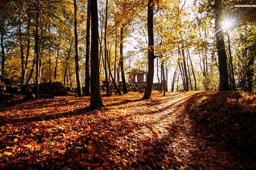 Castle Ruins In Sigulda