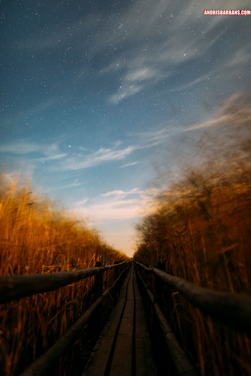 Kaniera Lake Footpath